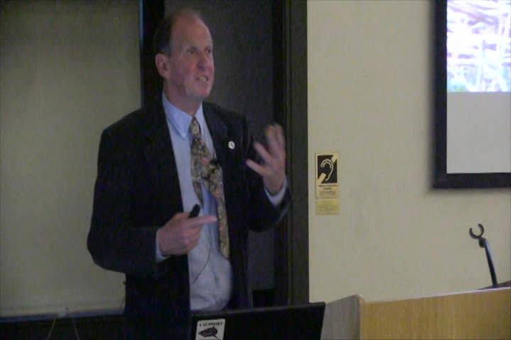 Thumbnail image for Book TV: Terns-Birds of Paradox - Trull