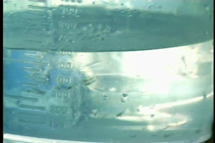 TM288 Freshwater Prawn Production