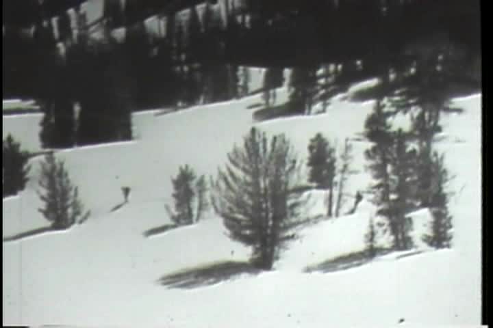 Thumbnail image for TM291 Ski Safety -55sec